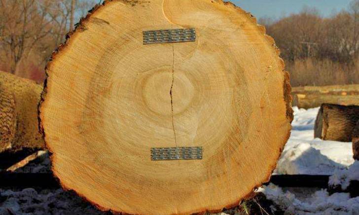 Submisja drewna z sukcesem