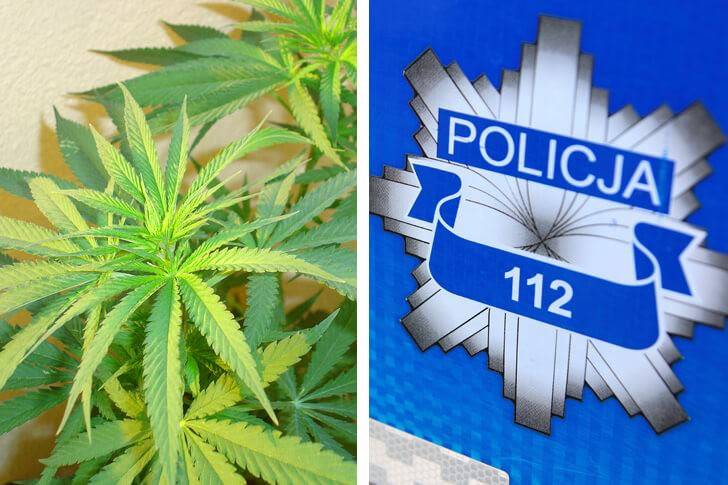 170 gramów marihuany w pokoju 28-latka