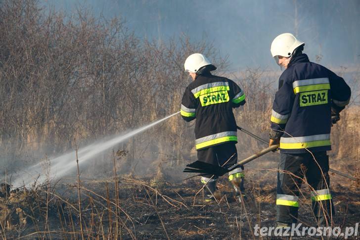 Wiosenne wypalanie traw to prawdziwa plaga