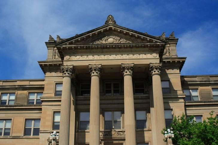 Praktykantki z USA w Krośnie