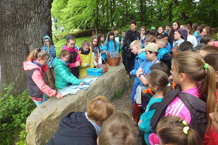 Dzień Polskiej Niezapominajki