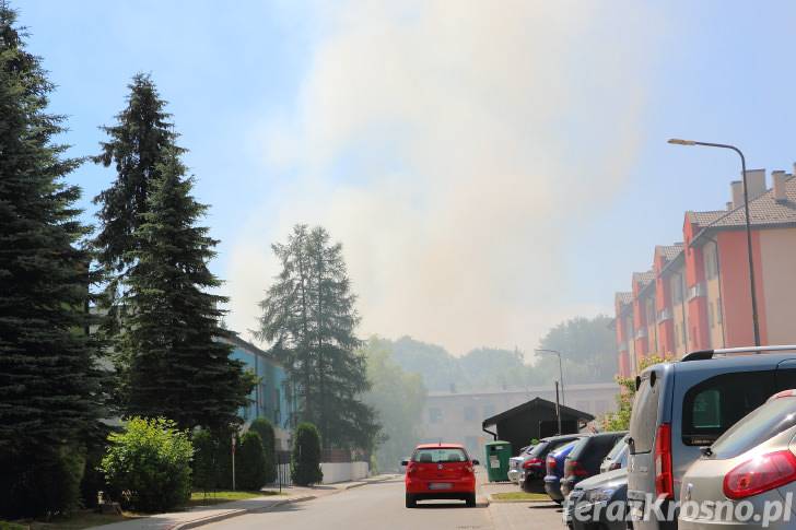 Upały, susze - pożary traw