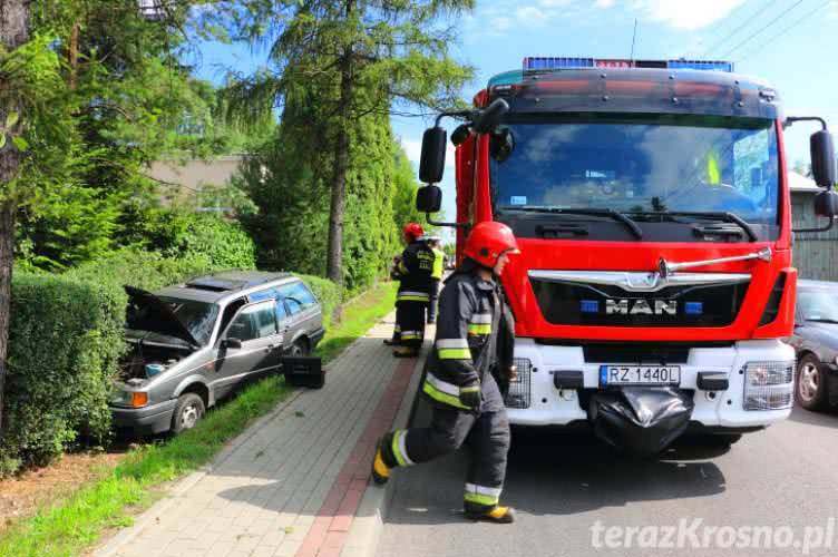 Chciał ominąć psa. Wjechał w żywopłot