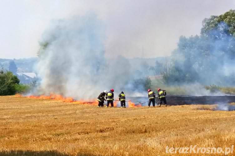 Pożar ścierniska w Świerzowej Polskiej