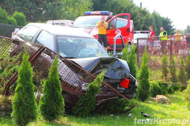 Wypadek w Kopytowej: Owad wleciał do samochodu