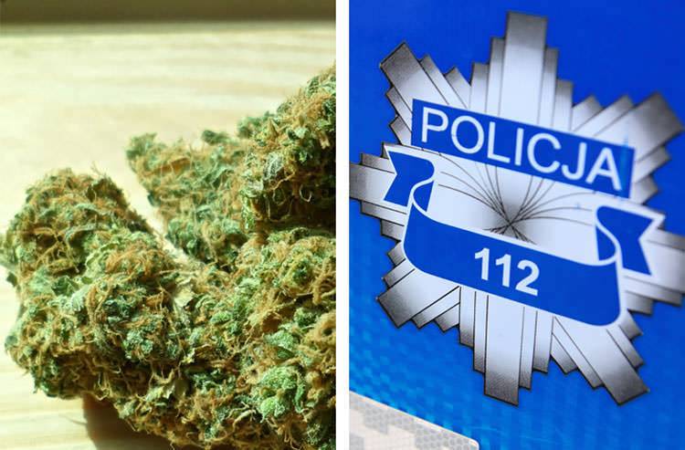 Krosno. Amfetamina i marihuana w sklepie