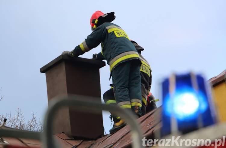 Kolejny pożar, strażacy w akcji