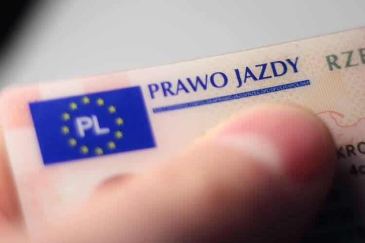 Policyjne żniwa. 16 zatrzymanych praw jazdy i 95 manadatów