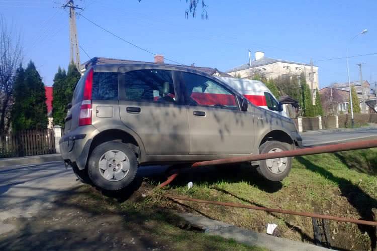 Kolizja na Długiej. Panda na barierkach