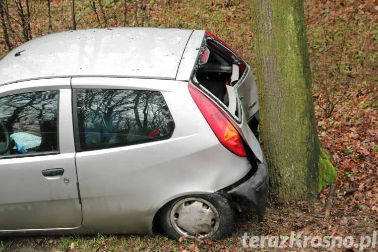 Sarna wybiegła na drogę. Fiat uderzył w drzewo