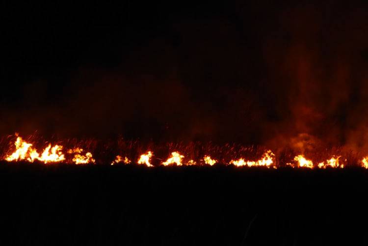 Plaga pożarów traw w regionie