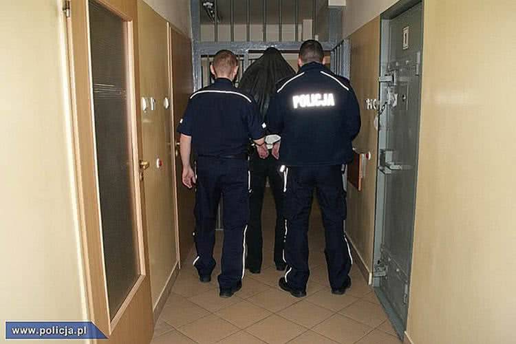 Akcja policji w walce z pedofilią. Przesłuchano dwóch mieszkańców Krosna