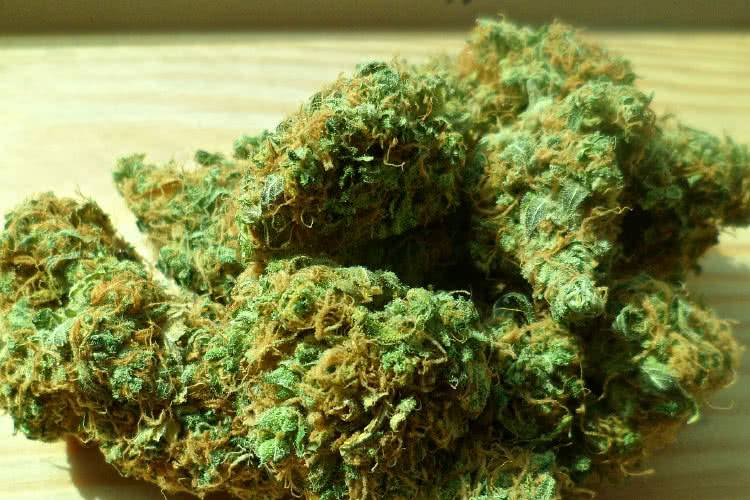 31-latek miał marihuanę i amfetaminę