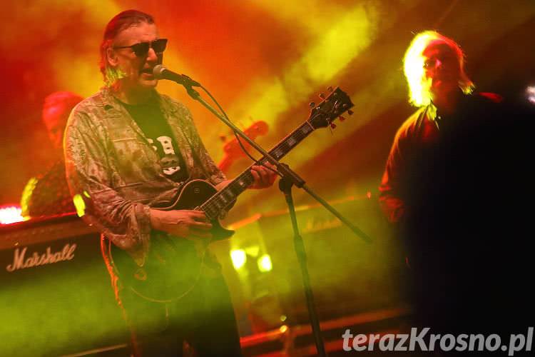 Dni Krosna 2016. Koncert zespołu DAAB 