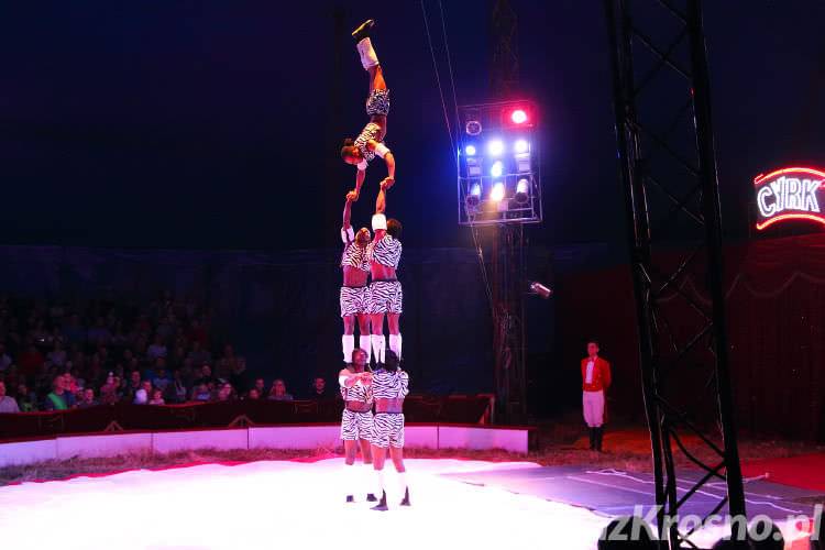 Cyrk Zalewski w Krośnie. Zobacz zdjęcia z występów
