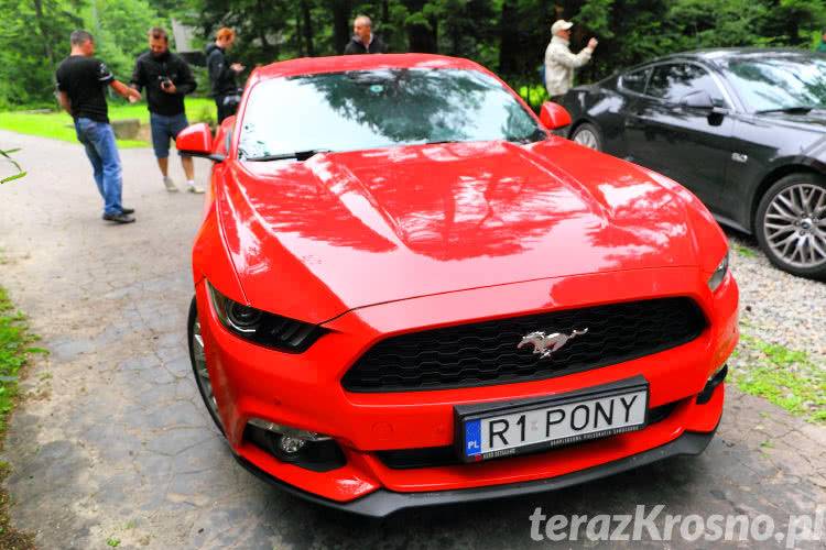 Mustangi w Bóbrce. 50 samochodów rusza w Mustang Race 2016