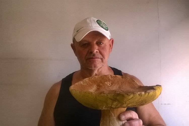 Oto prawdziwek gigant!