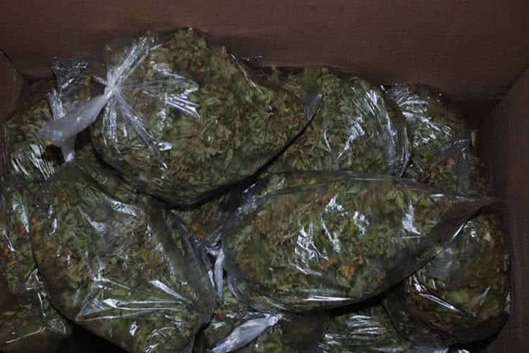 Akcja policji w Krośnie. Zatrzymano "grubą rybę"