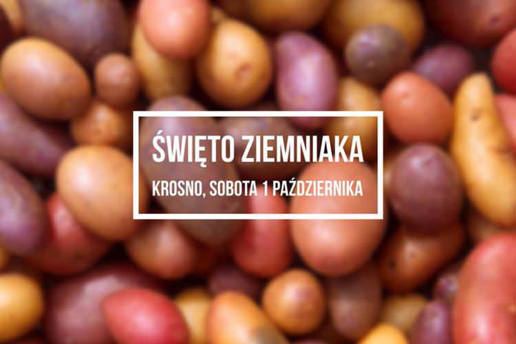 Dziś Święto Ziemniaka