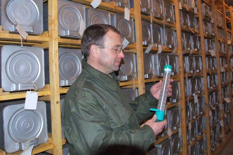 Trwa zbiór nasion drzew i krzewów leśnych