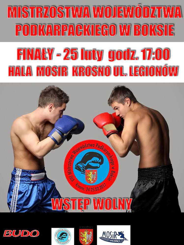 W Krośnie odbędą się VIII Mistrzostwa Podkarpacia w Boksie