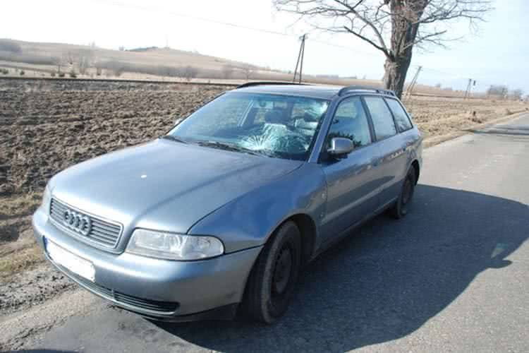 65-latek wtargnął pod koła audi