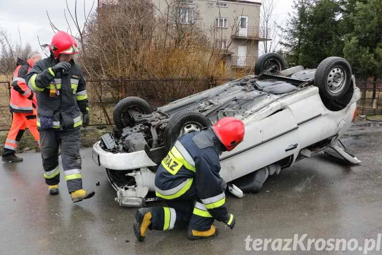 Dachowanie w Świerzowej Polskiej