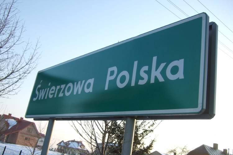 Znów kolizja na Szkolnej