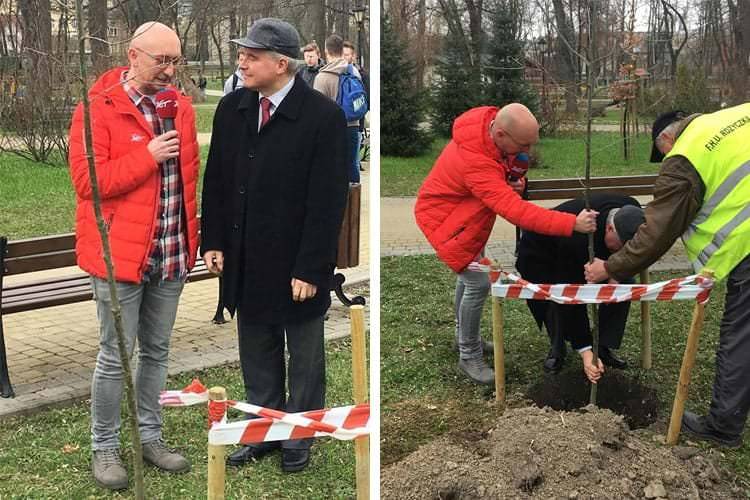 Dąb Radia ZET rośnie już w Krośnie