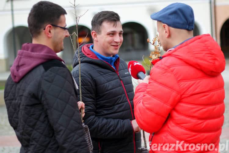 Darmowe drzewka od Radia ZET