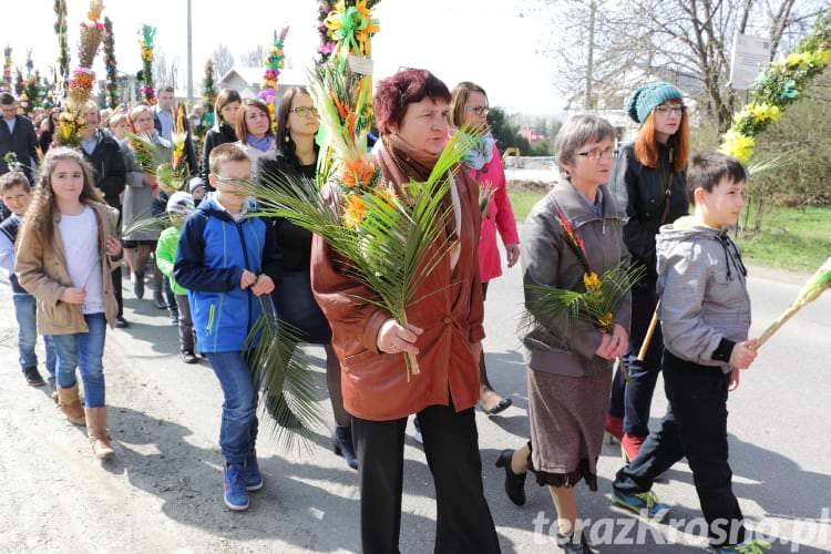 Procesja z palmami w Zręcinie