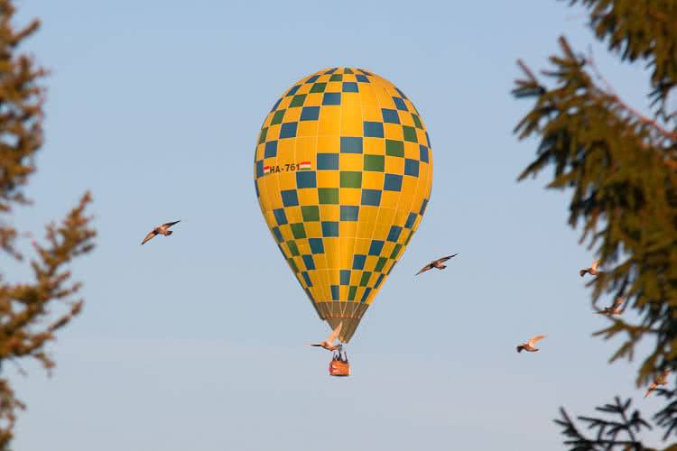 Balony nad Krosnem 2017 - Wstępny program