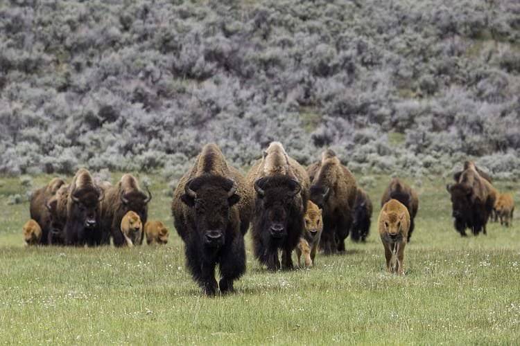 Dukla. Uczniowie podróżowali do Mucznego