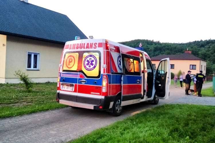 Pies wbiegł pod koła, poszkodowany motocyklista