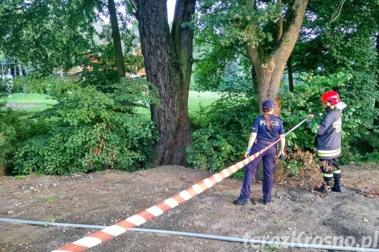 Tajemnicza śmierć. Ciało mężczyzny w strumyku
