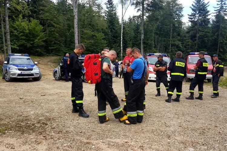 Trwają poszukiwania 80-letniego grzybiarza
