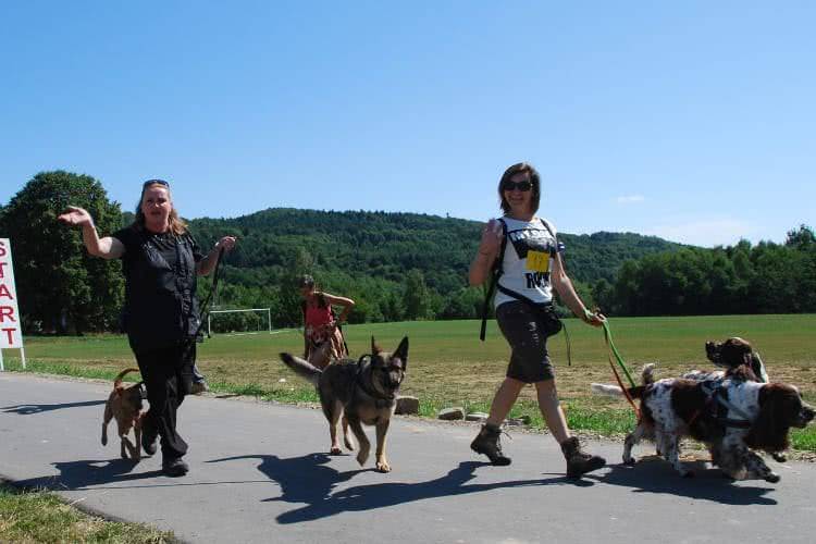 Dogtrekking w Czarnorzekach