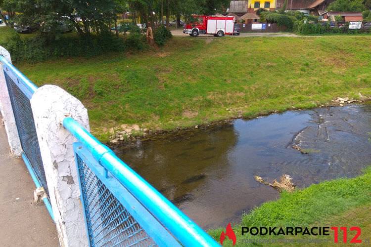 Mężczyzna skoczył z mostu do Wisłoka