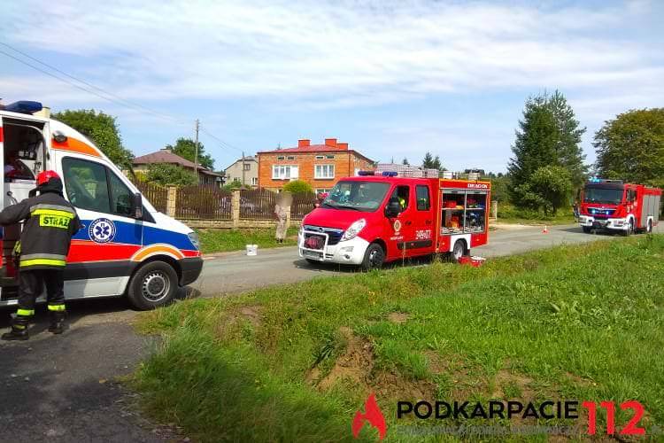 Leśniówka. Wjechała autem do rowu