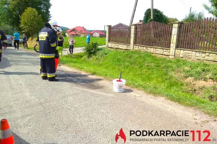 Leśniówka. Wjechała autem do rowu