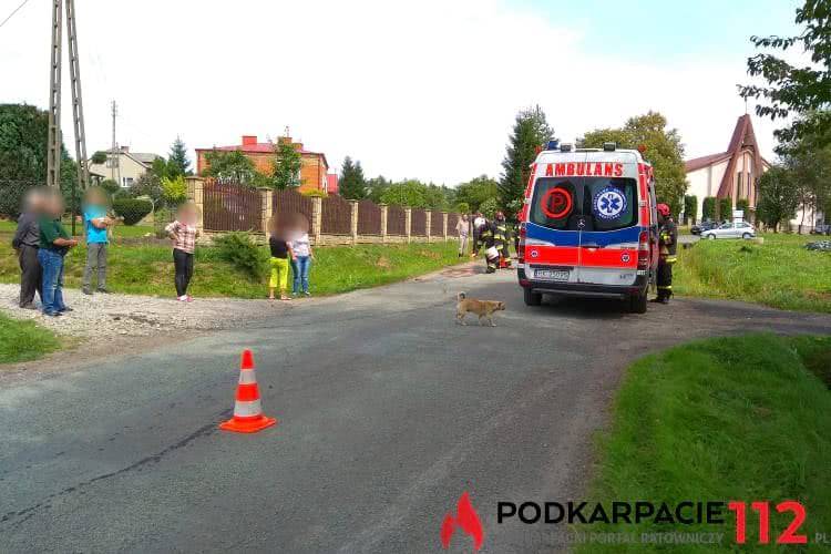 Leśniówka. Wjechała autem do rowu