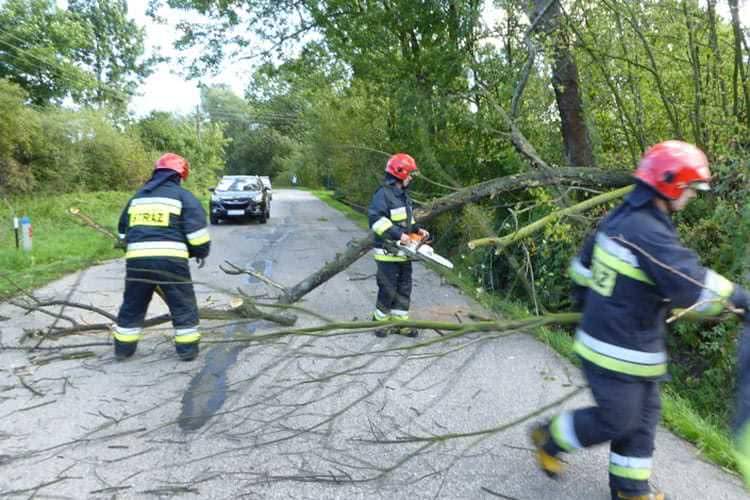 Pracowita doba strażaków, 23 interwencje