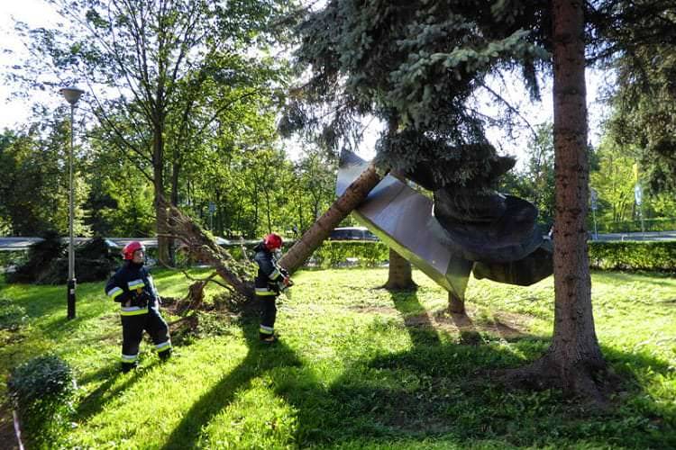 Pracowita doba strażaków, 23 interwencje