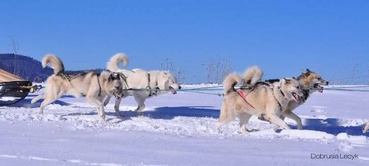 Jakub Słowik gościem w klubie K15