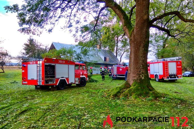 Wróblik Królewski. Pożar w drewnianym budynku