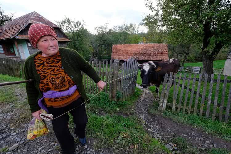 Przemysław Niepokój-Hepnar z kolejnym sukcesem na swoim koncie