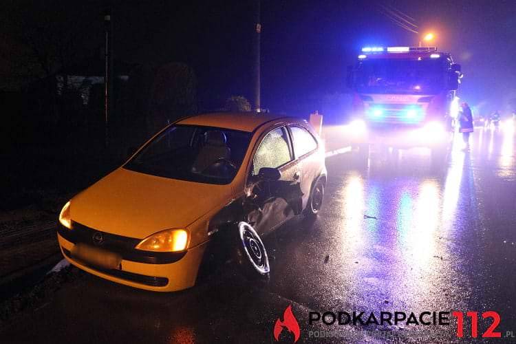 Kolizja w Jedliczu, sprawczyni nietrzeźwa