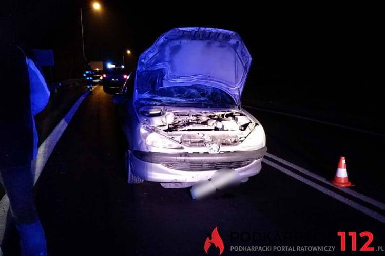 Zderzenie z jeleniem, poszkodowana pasażerka samochodu