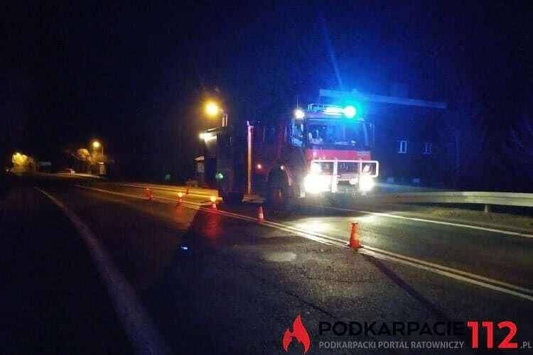 Zderzenie z jeleniem, poszkodowana pasażerka samochodu