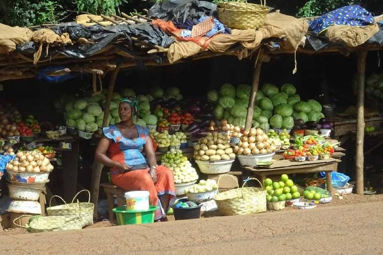 Autostopem i pieszo przez Gwinee Bissau & Konakry